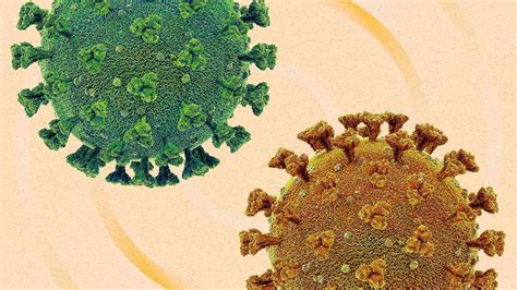 EEUU se prepara para un invierno con tres virus: COVID-19, influenza y RSV